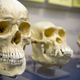 Illustration for article titled Missouri schools may have to alert parents when evolution is taught